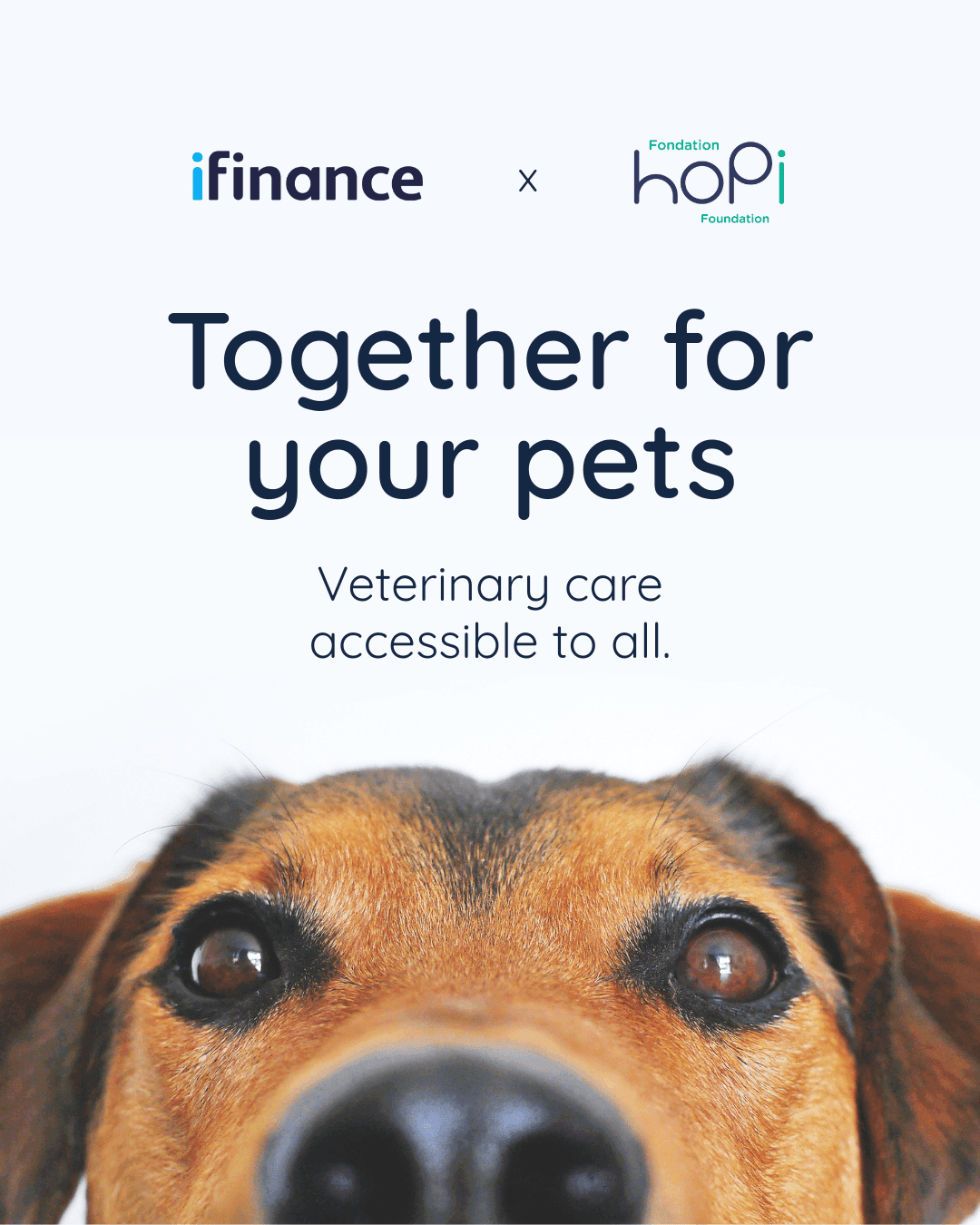 iFinance Petcard — Unis pour vos animaux